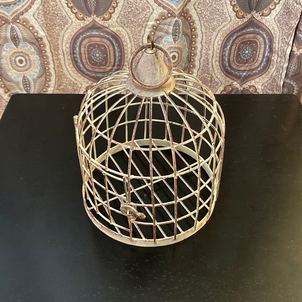 Vintage wire bird cage.